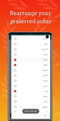 Huzaifi Full Quran Offline MP3 android App screenshot 3